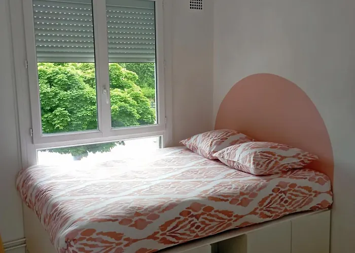 Le Salengro - Cosy Et Lumineux * Dijon