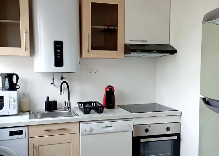 Le Salengro - Cosy Et Lumineux Apartment Dijon