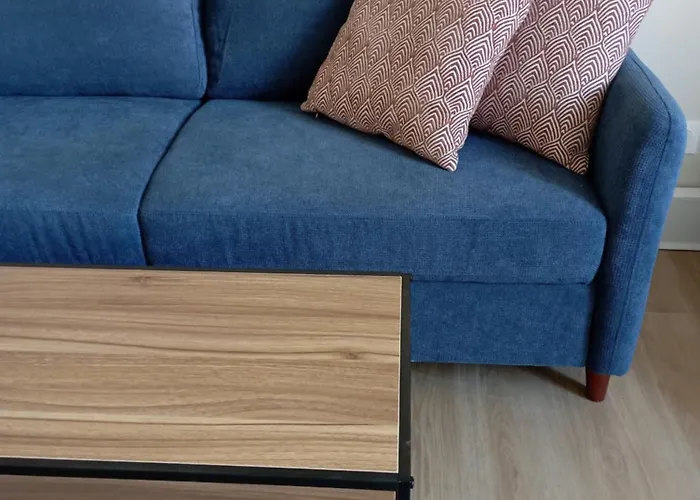 Le Salengro - Cosy Et Lumineux Dijon